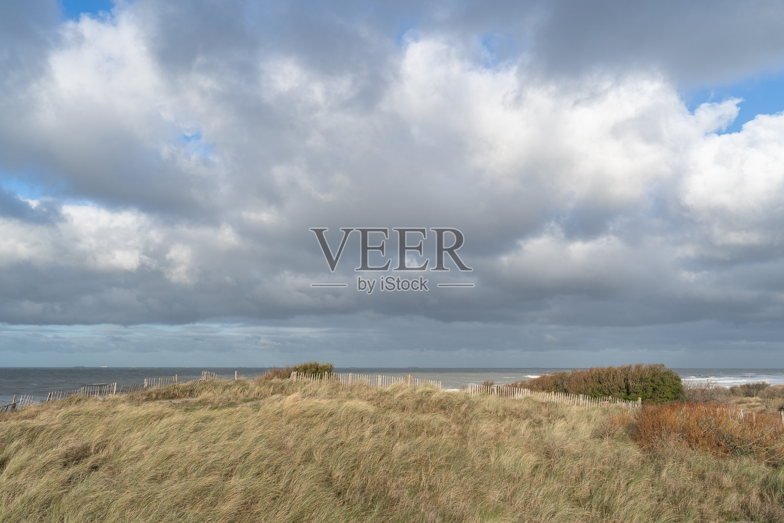 海岸线，沙丘，北海 - 股票照片照片摄影图片