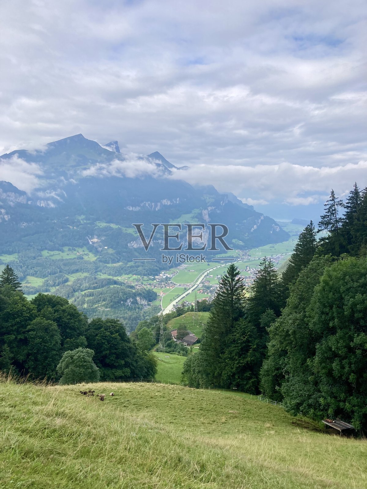 绿谷照片摄影图片