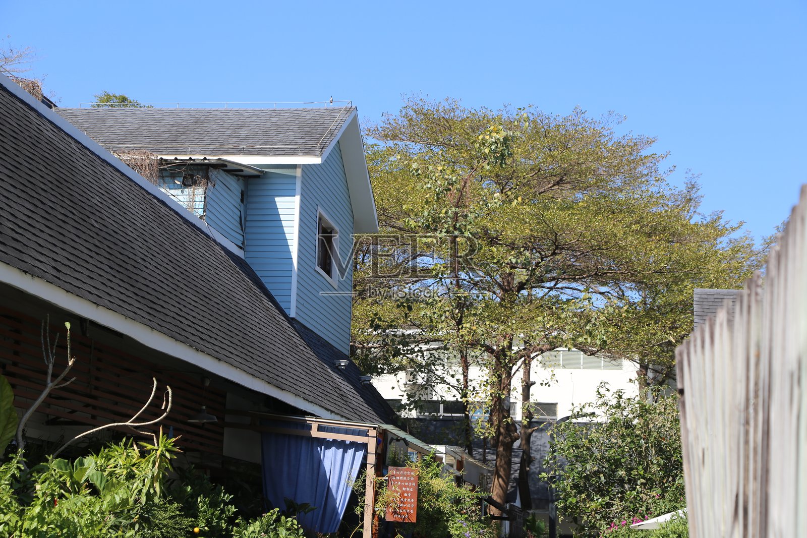 城市住宅的后屋顶，蓝色瓦片，前景有树木和其他植物，从栅栏后拍摄。照片摄影图片