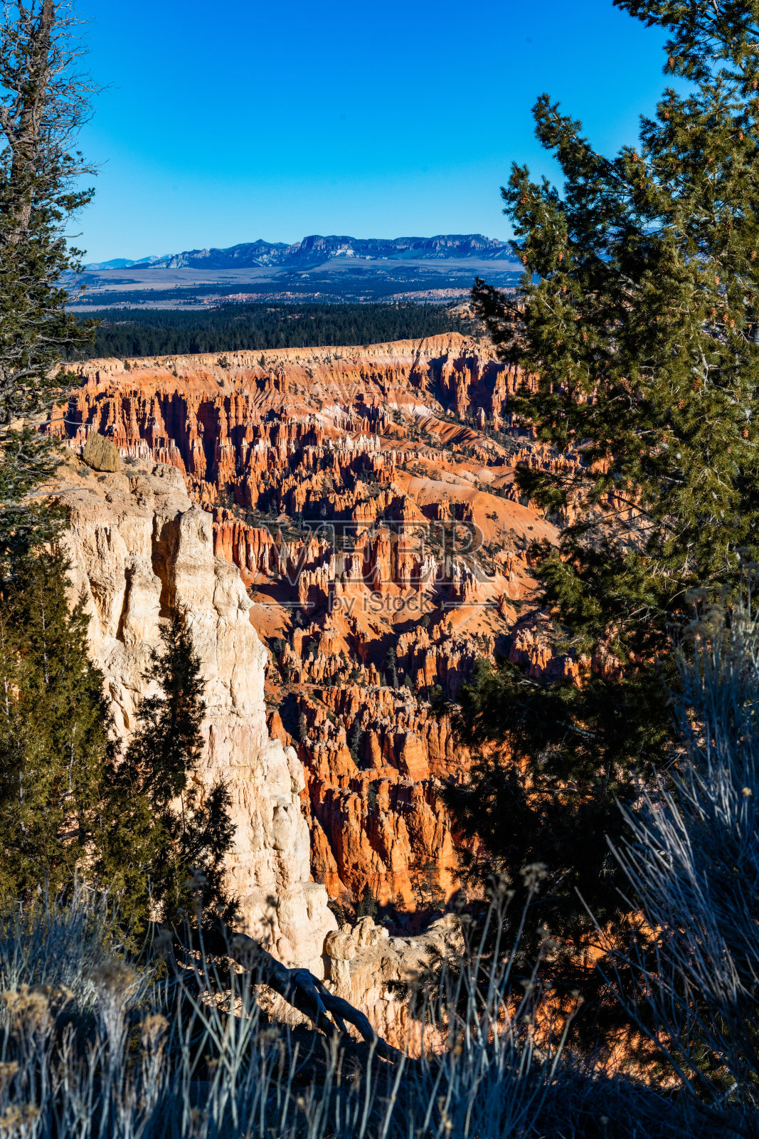布莱斯峡谷国家公园的景观，这是位于美国犹他州的一个供市民和游客享受的公共公园。照片摄影图片