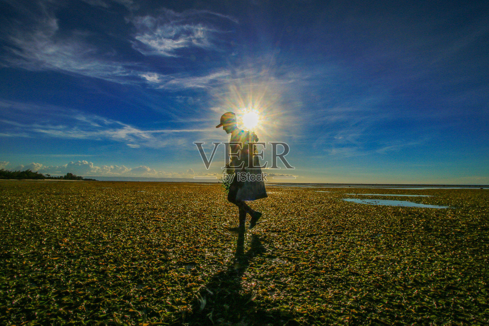 回家照片摄影图片