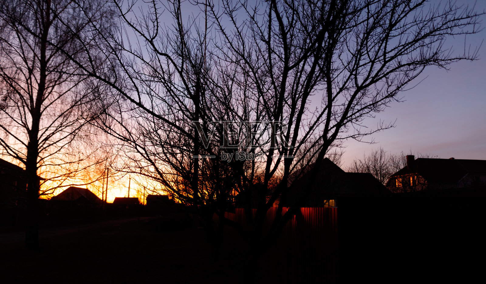 前景有一棵树的阴暗天空照片摄影图片