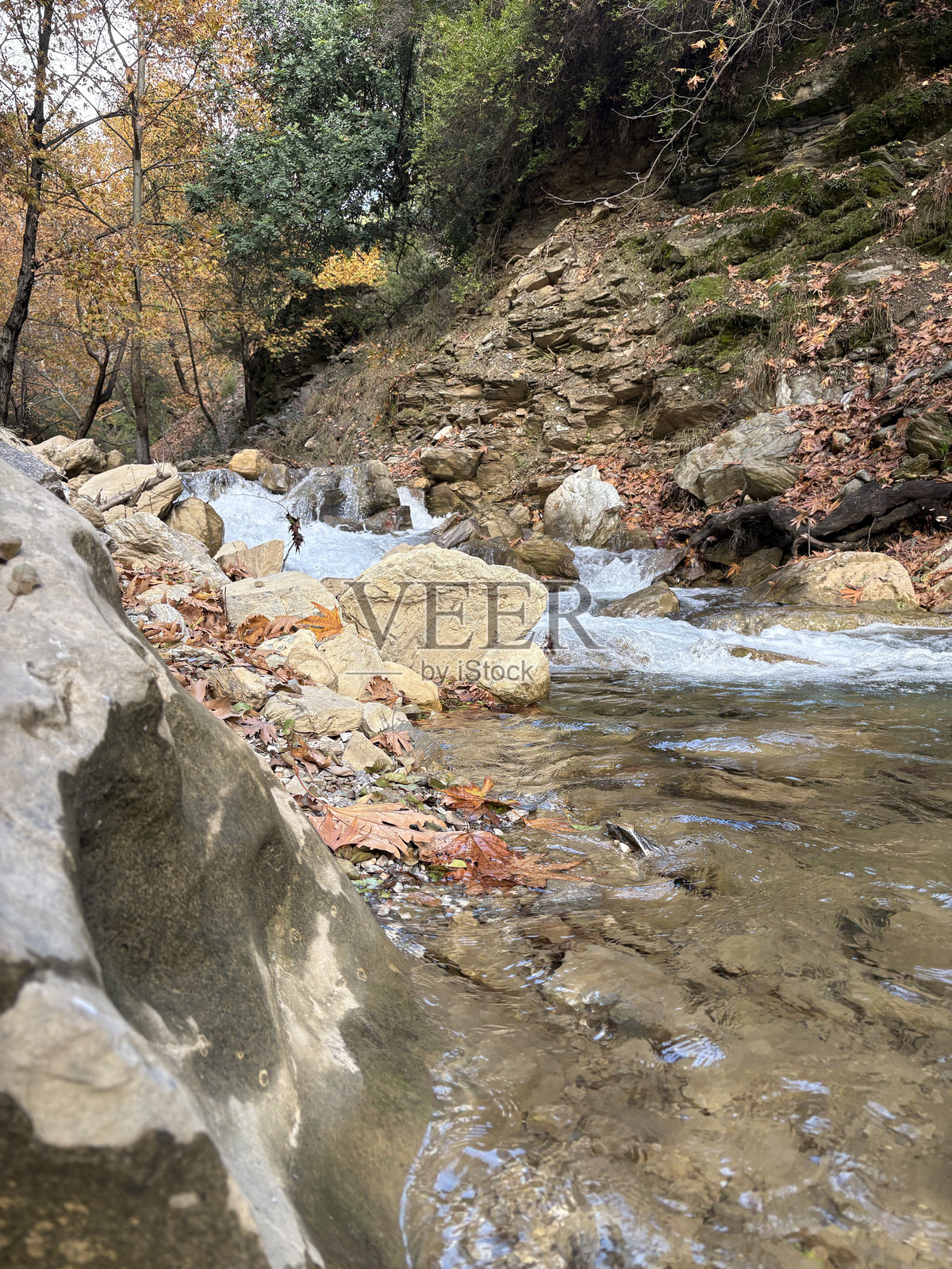 秋季的山间河流，急速流动的瀑布和激流照片摄影图片