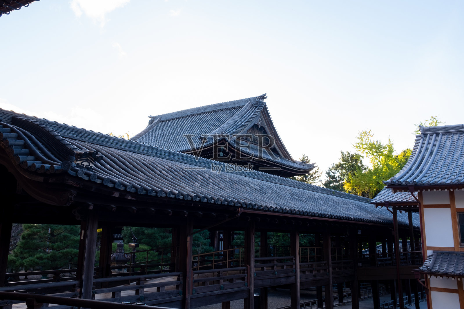 参观日本京都的知恩院照片摄影图片