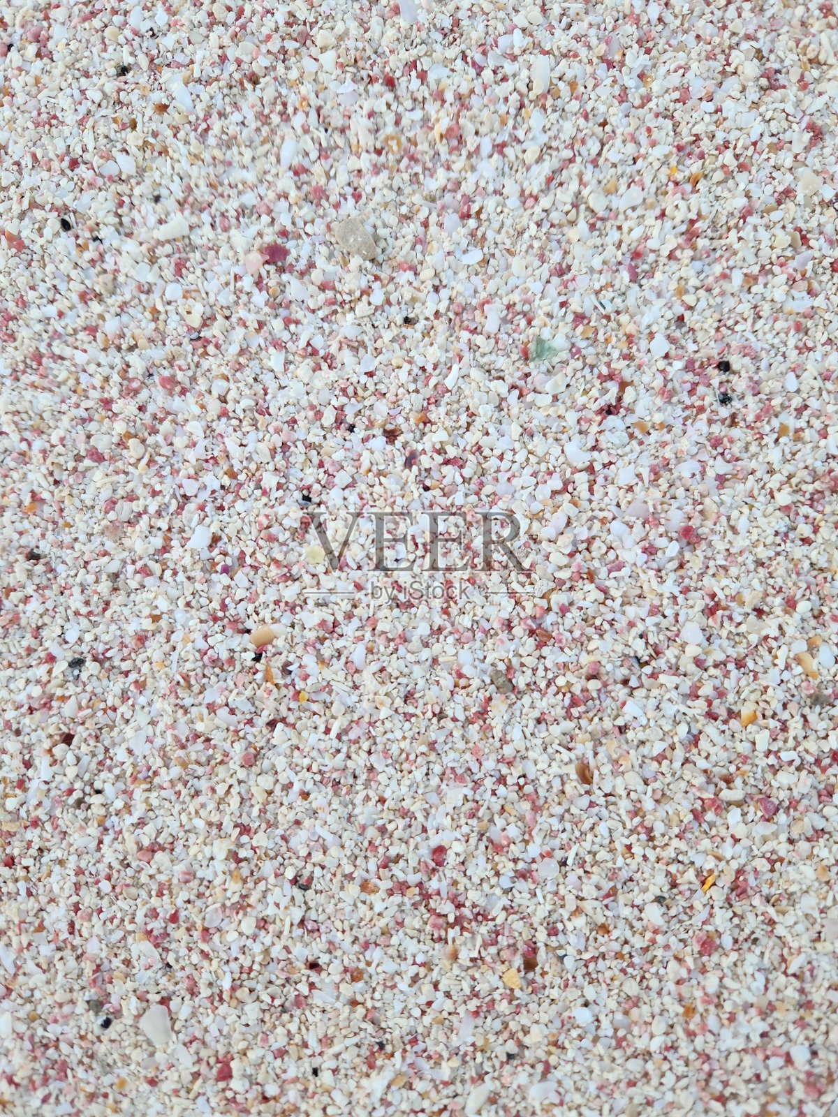 百慕大海滩的粉色沙滩照片摄影图片