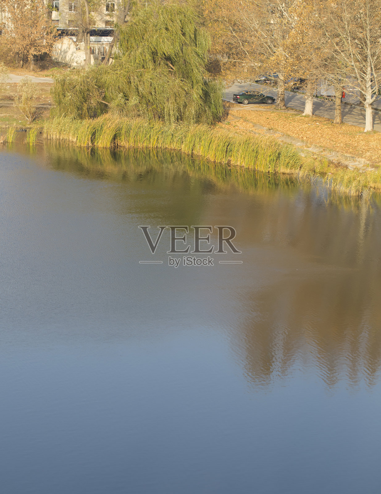 城市公园湖水涟漪中的微风照片摄影图片