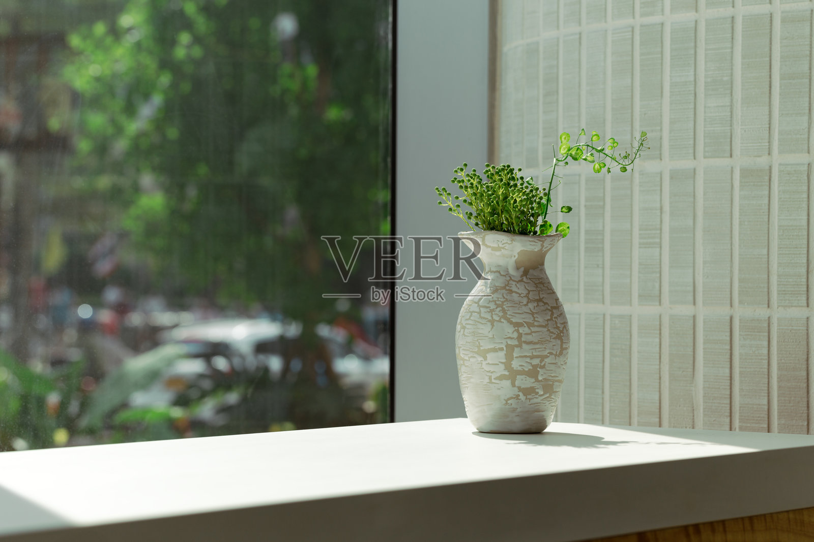 一个装有绿色植物的花瓶放在阳光明媚的窗台上；这个场景宁静而令人放松。照片摄影图片