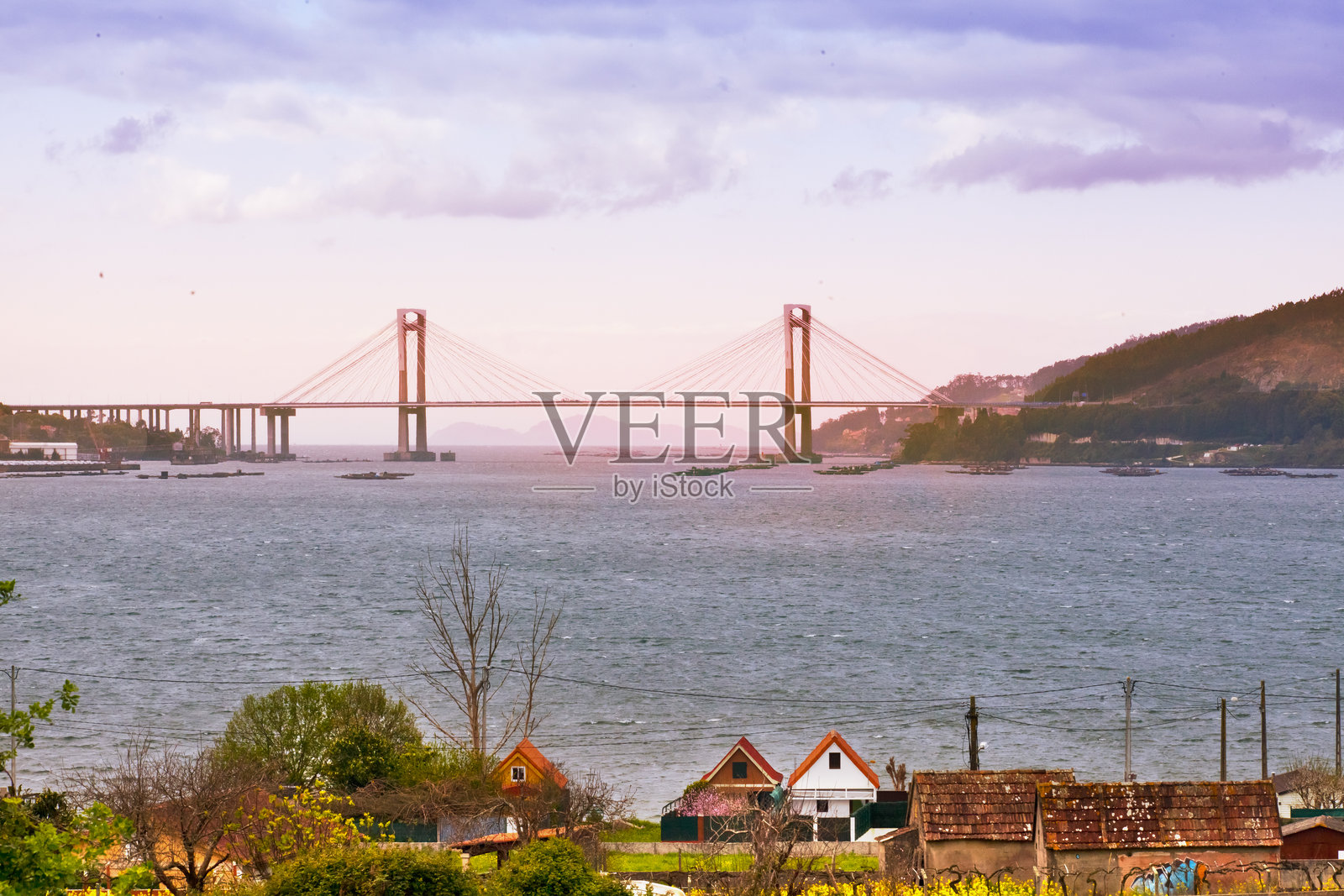 维戈河口和兰德桥。西班牙加利西亚省蓬特韦德拉的维戈，里亚斯巴伊哈斯。照片摄影图片