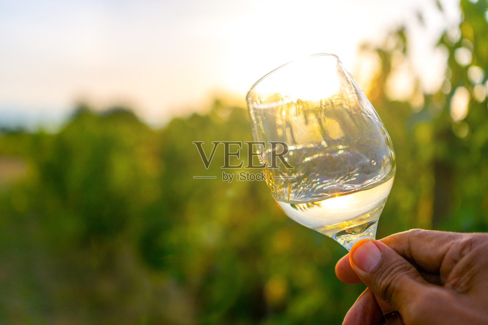 男人在日出或日落时摇晃白葡萄酒杯以品尝照片摄影图片