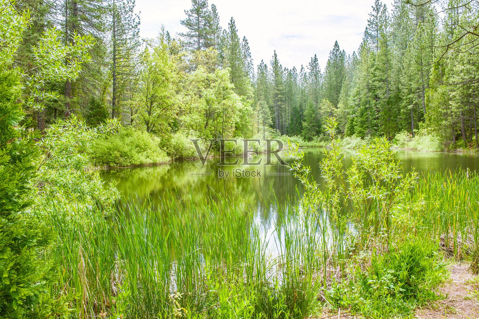 宁静的加利福尼亚湖泊与倒影照片摄影图片