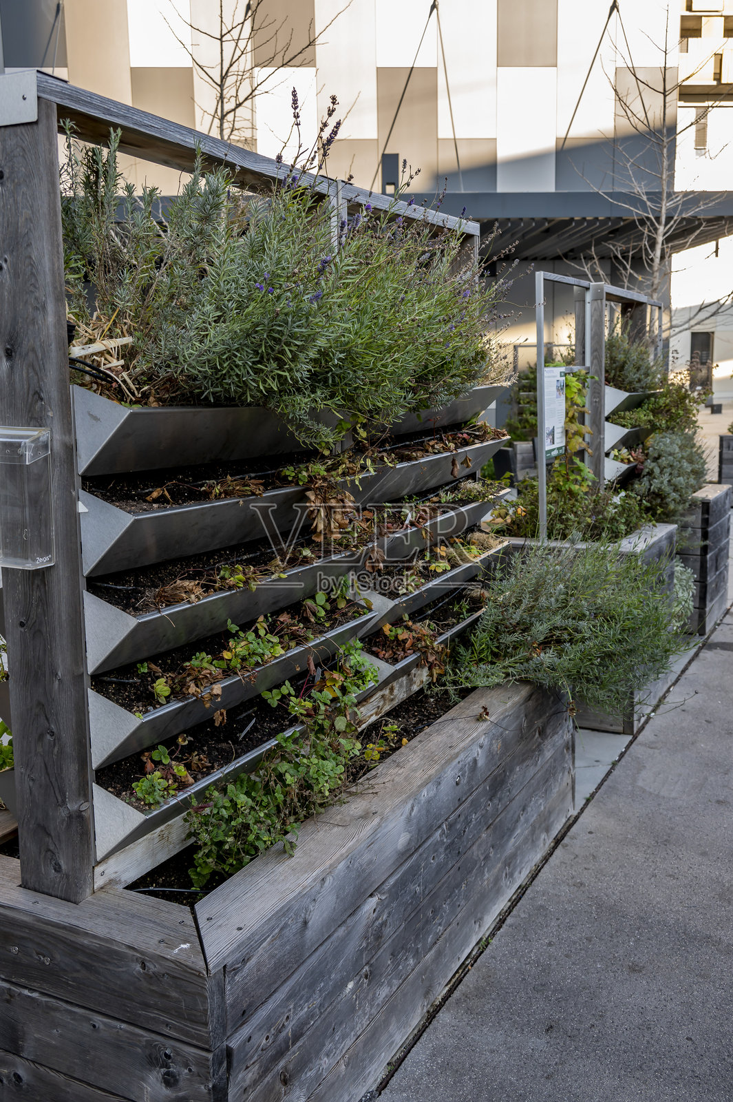 维也纳有许多设在路边的草药花园，供当地居民使用。照片摄影图片