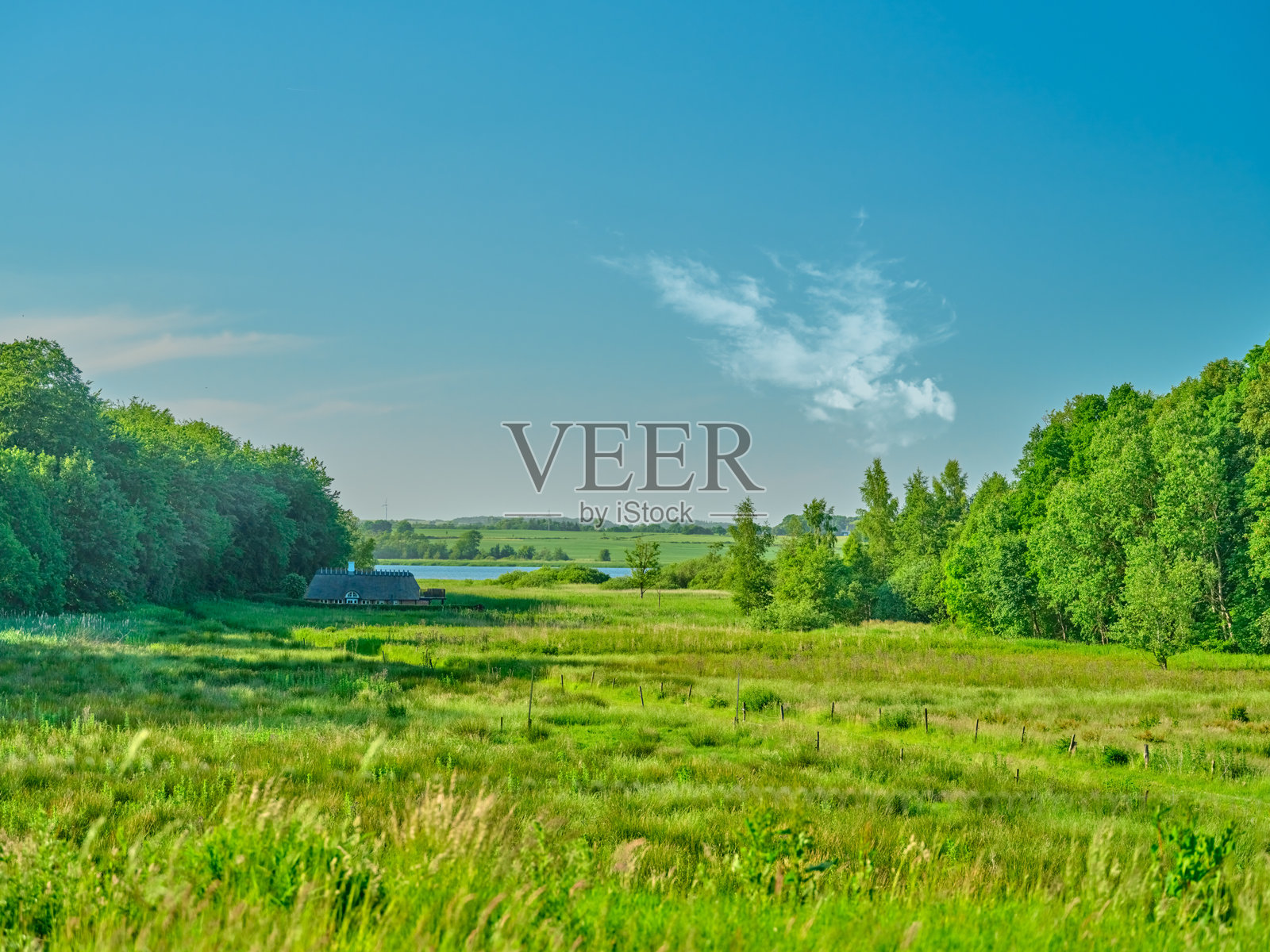 宁静的夏季风景，蓝天下的丹麦乡村景色照片摄影图片