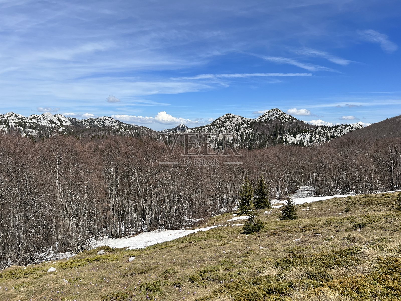早春的山间牧场和混合森林 - 克罗地亚北维莱比特国家公园照片摄影图片