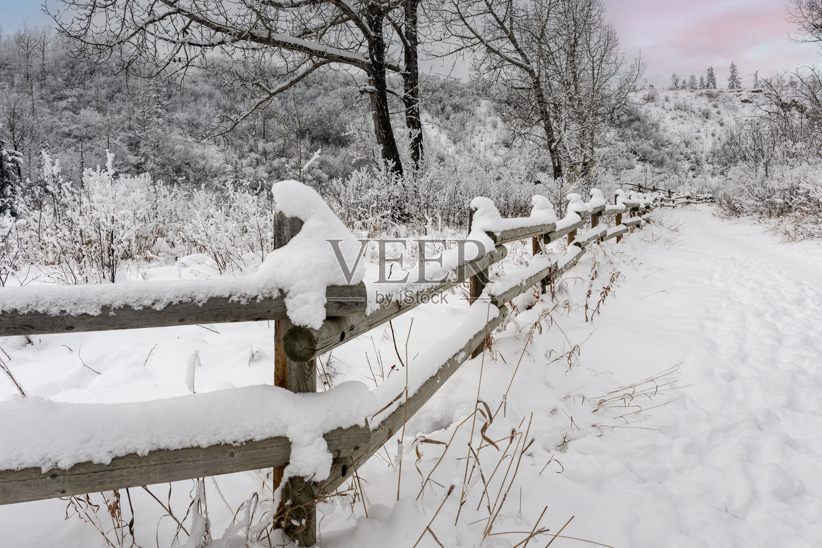 被雪覆盖的步道旁的木栅栏照片摄影图片