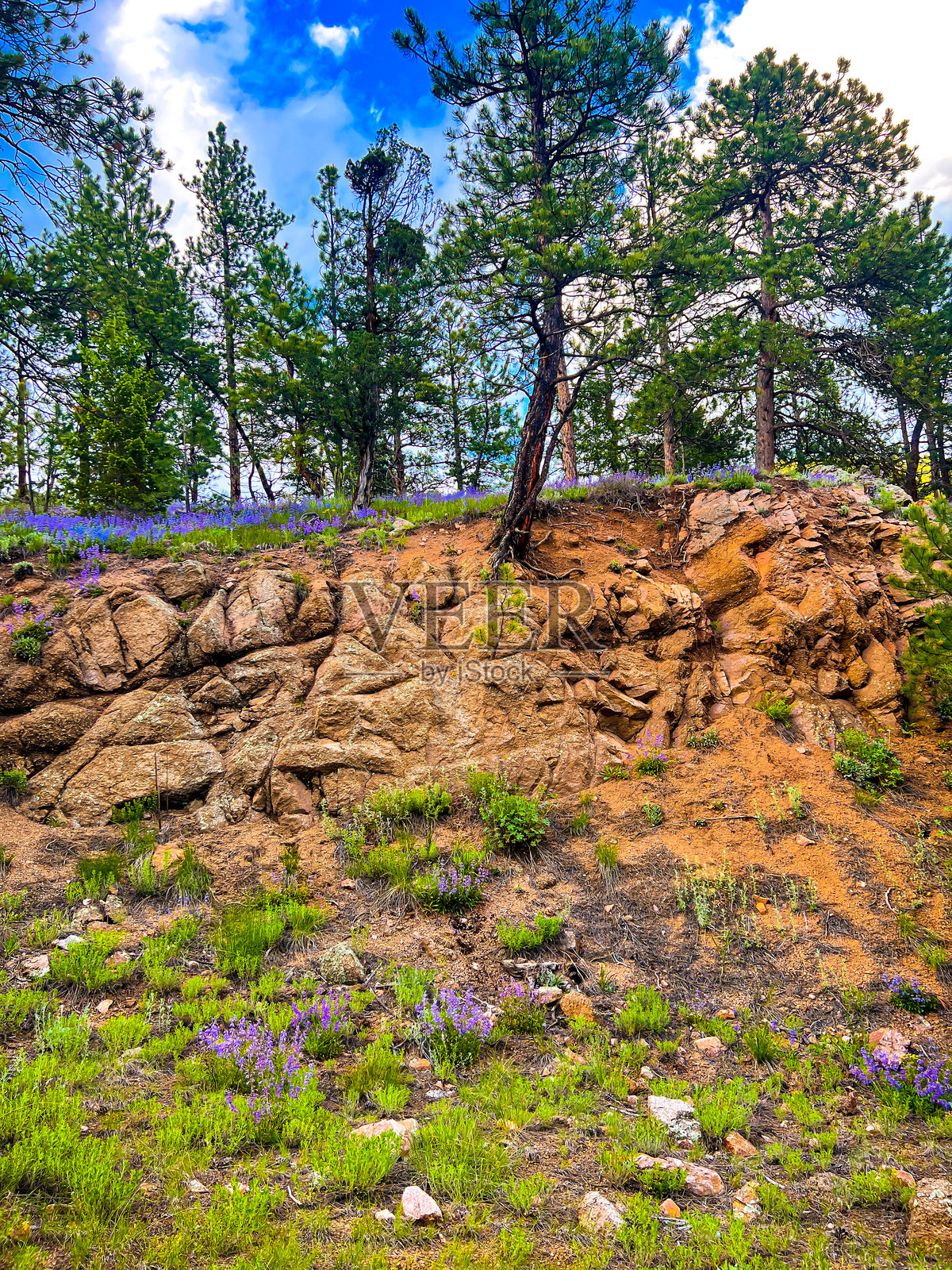 野生山脉照片摄影图片