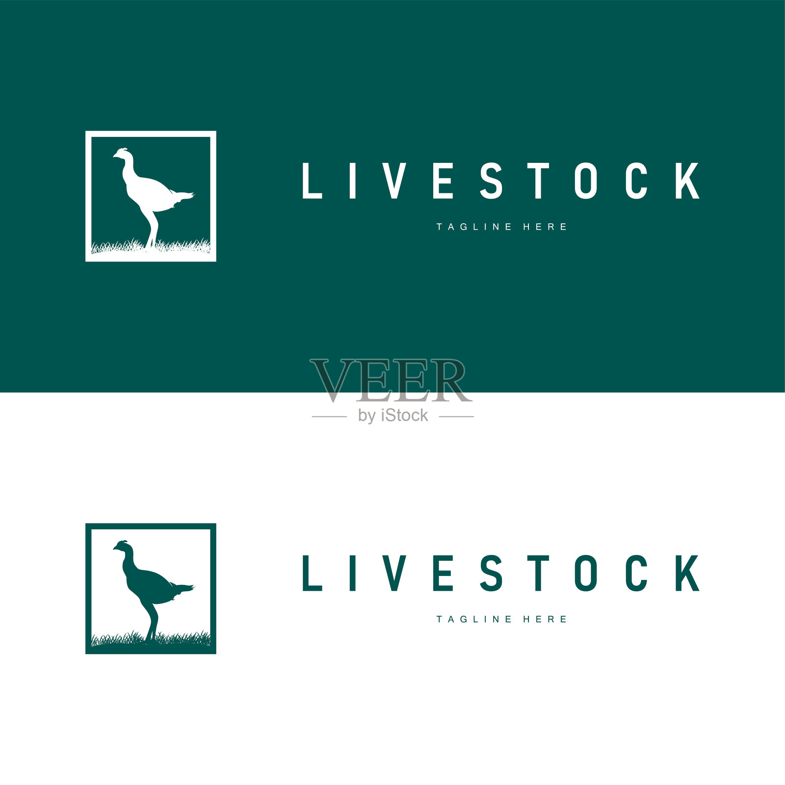 鸡肉标志插图 复古设计 牲畜农场 鸡的概念 简单轮廓 黑色插图模板插画图片素材