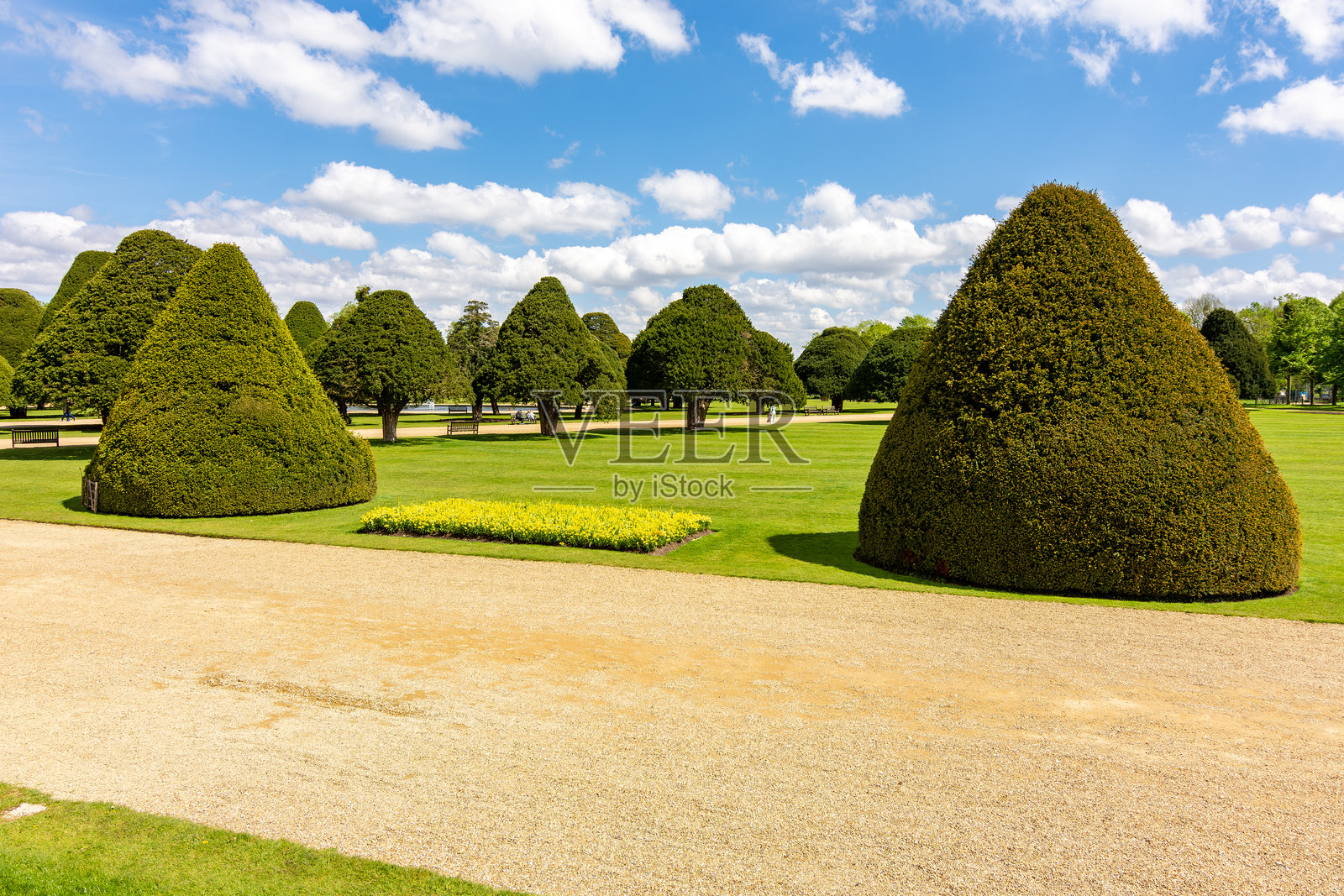 伦敦汉普顿宫花园的春季树木照片摄影图片