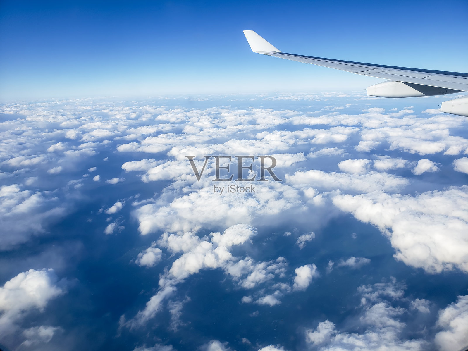 飞翔在云海之上照片摄影图片