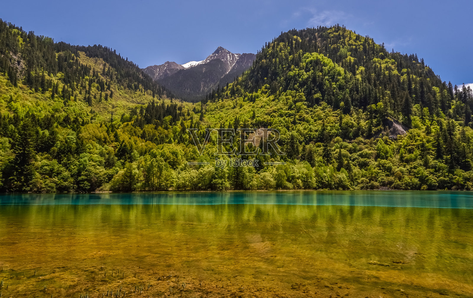 九寨沟与黄龙，中国四川照片摄影图片