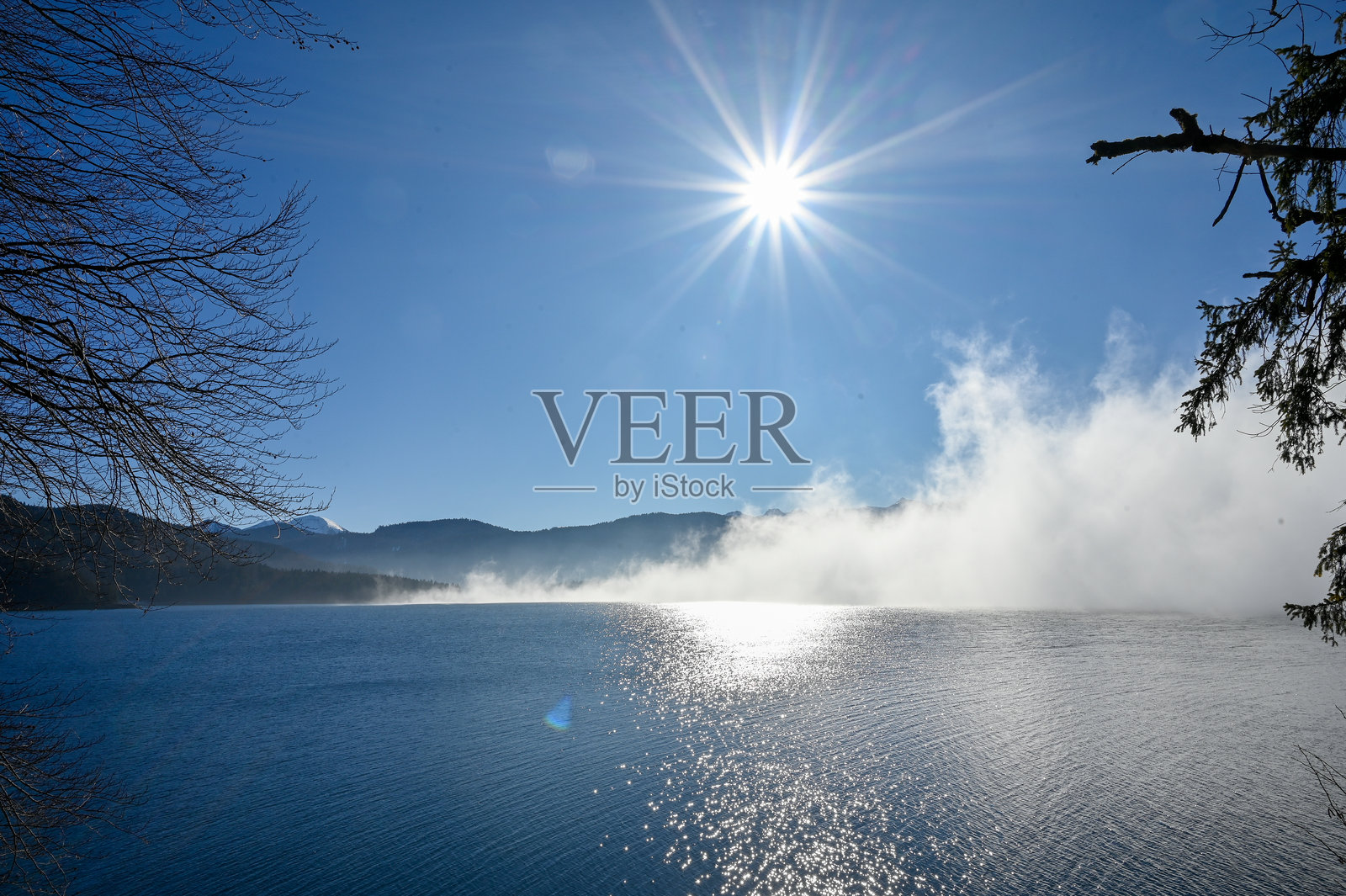 雾照片摄影图片