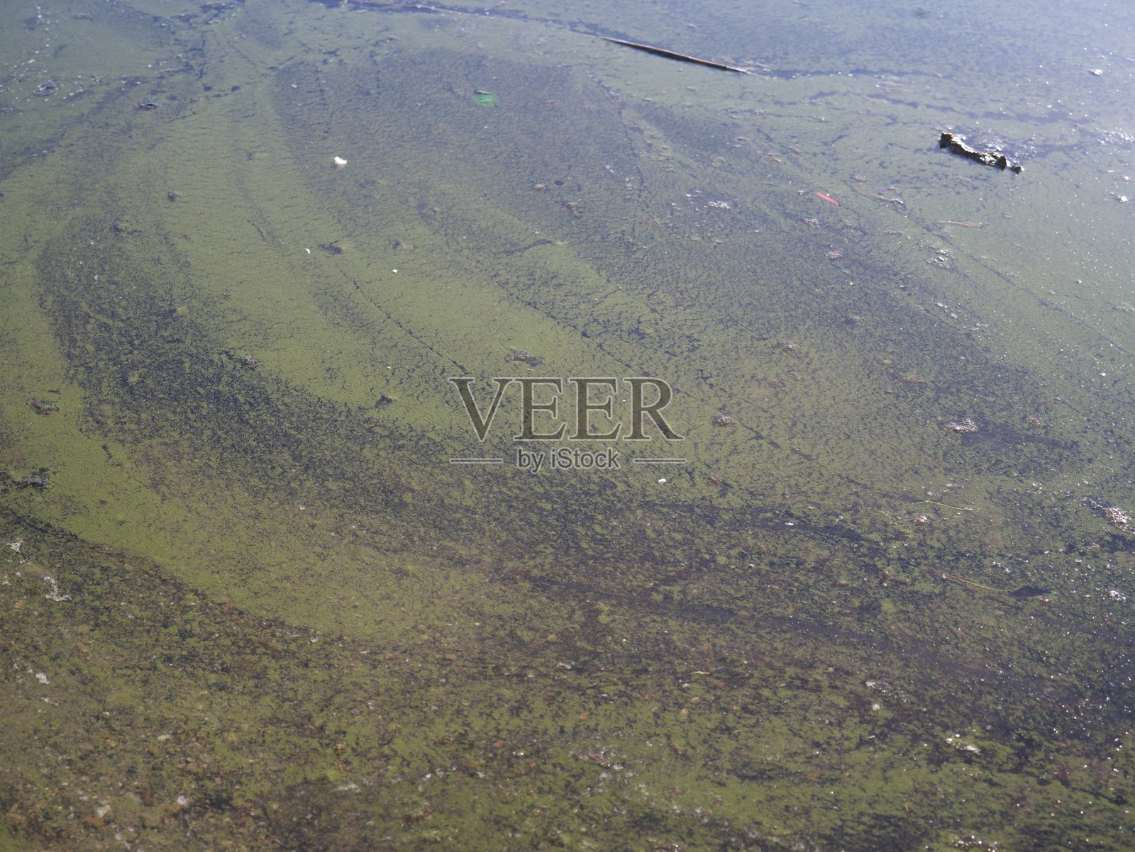 瓦雷泽湖照片摄影图片