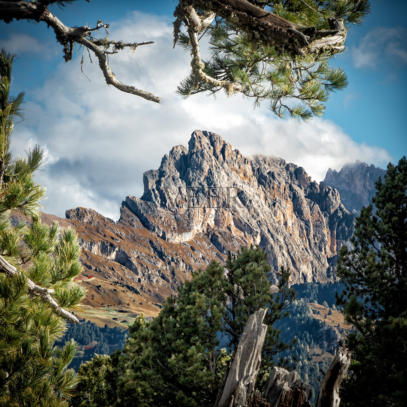宁静的岩石风景与美丽的树木框架照片摄影图片