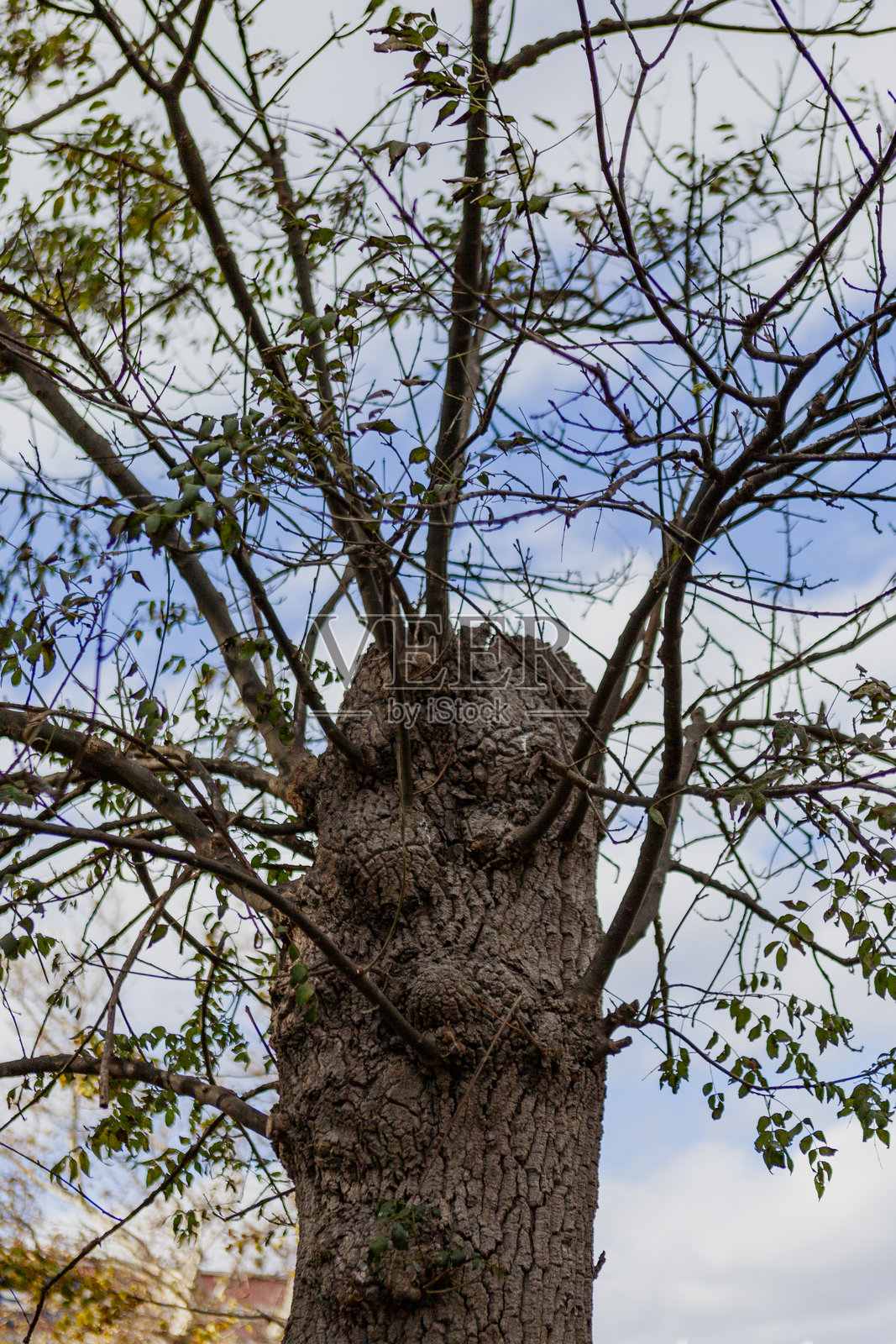 伊斯坦布尔，马尔马拉，土耳其照片摄影图片