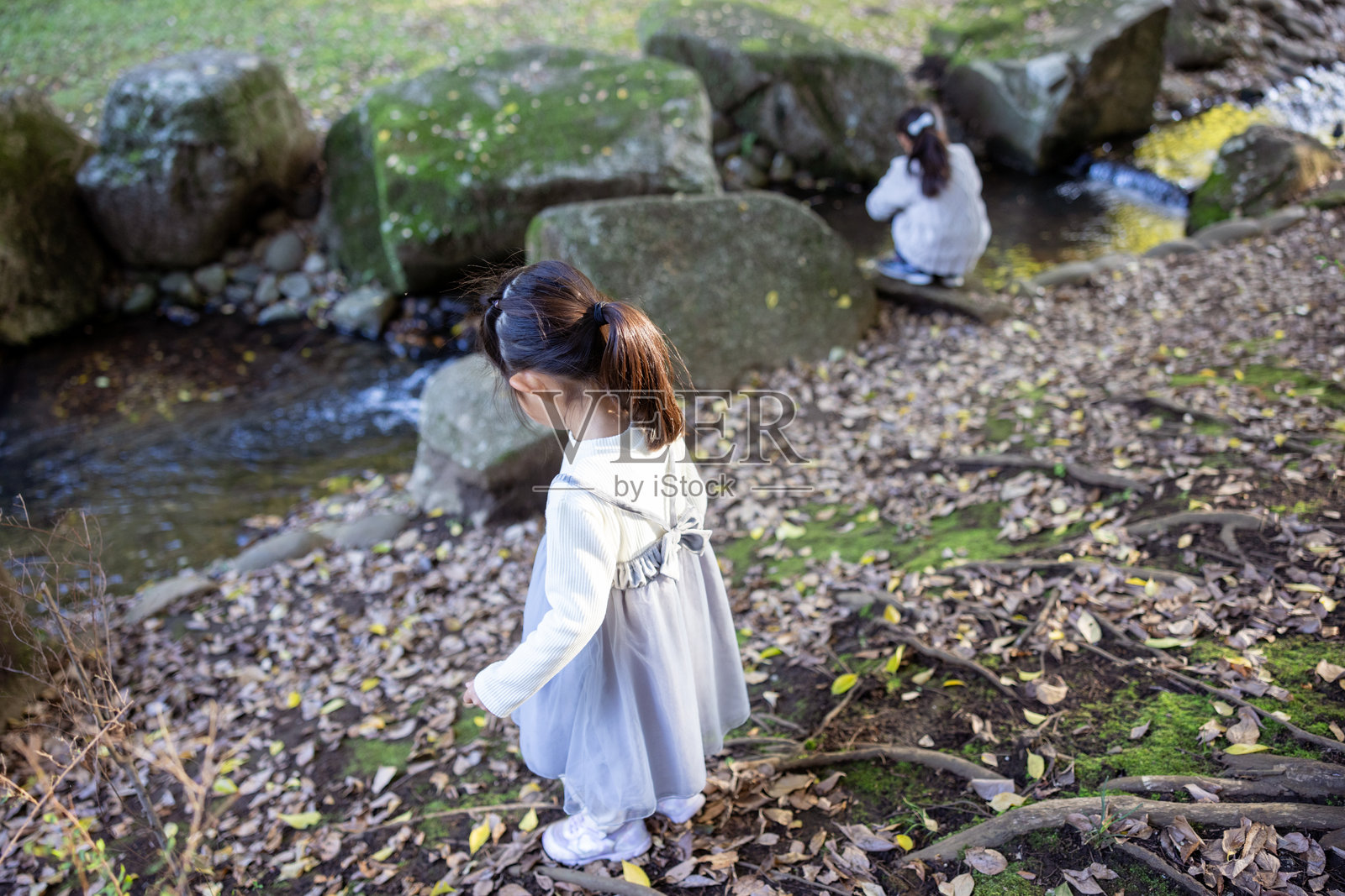 女孩们在公园的小溪边玩耍照片摄影图片