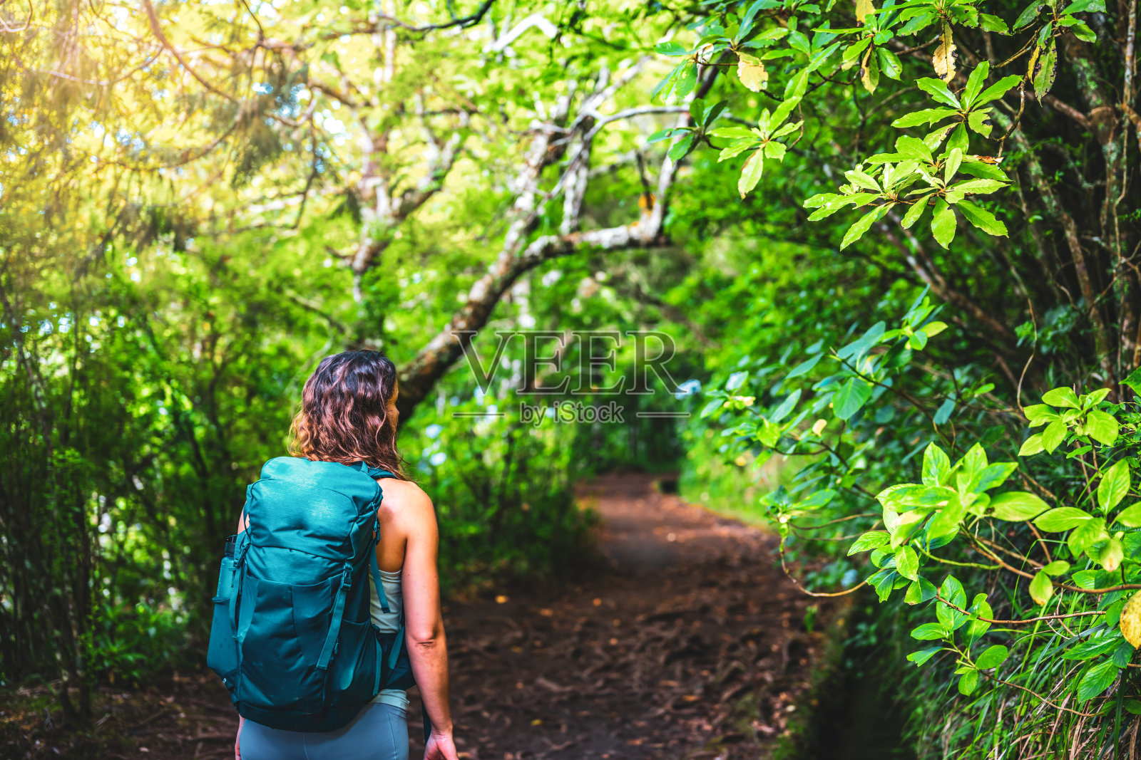 运动型游客在美丽的热带雨林小径上沿着水渠行走。加尔代朗绿道，葡萄牙马德拉岛，欧洲。照片摄影图片