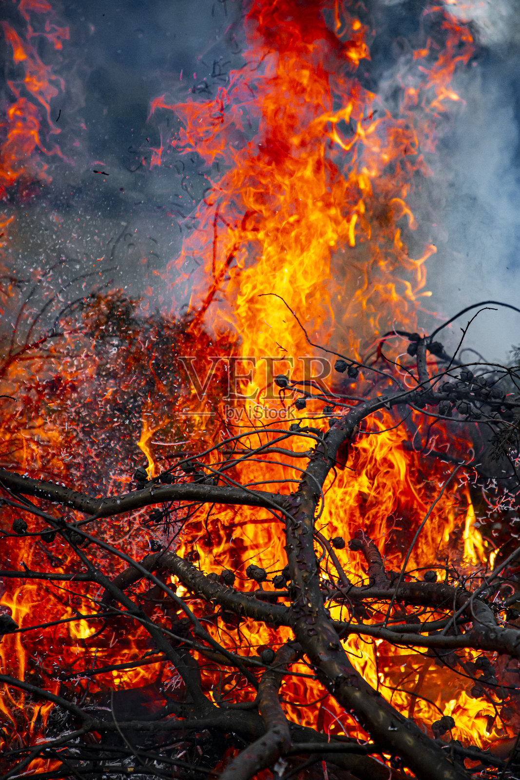 猛烈的野火火焰吞噬森林照片摄影图片