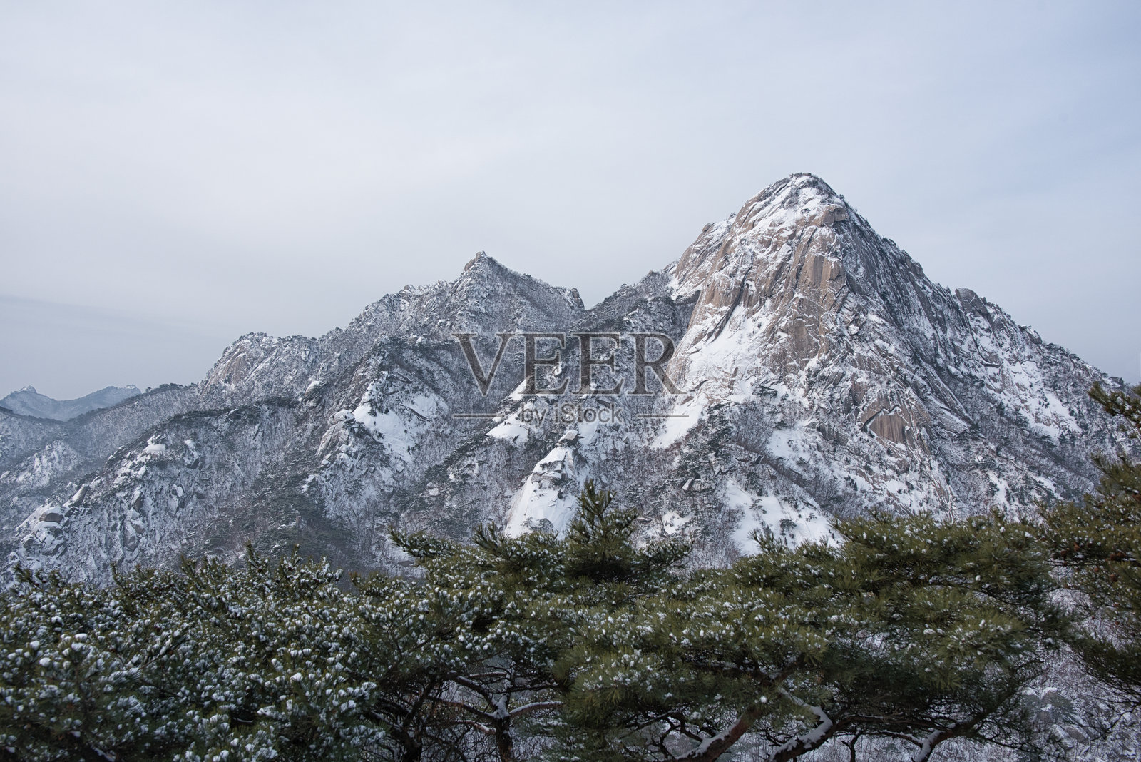 冬季的北汉山与松树照片摄影图片