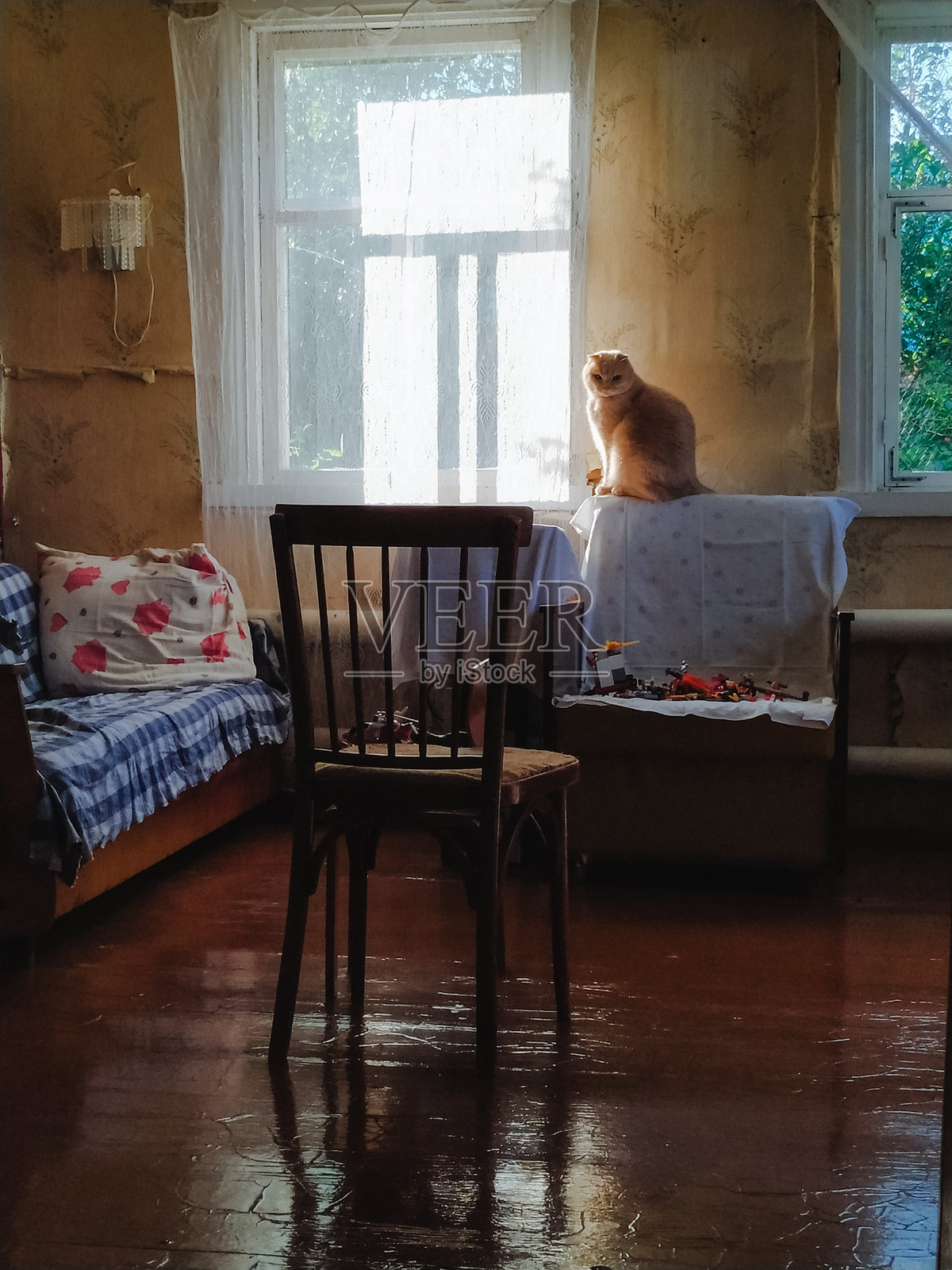 一只可爱的猫咪舒适地坐在一把时尚的椅子上，周围是美丽的家具和温暖的木质装饰，增添了室内设计的魅力。照片摄影图片