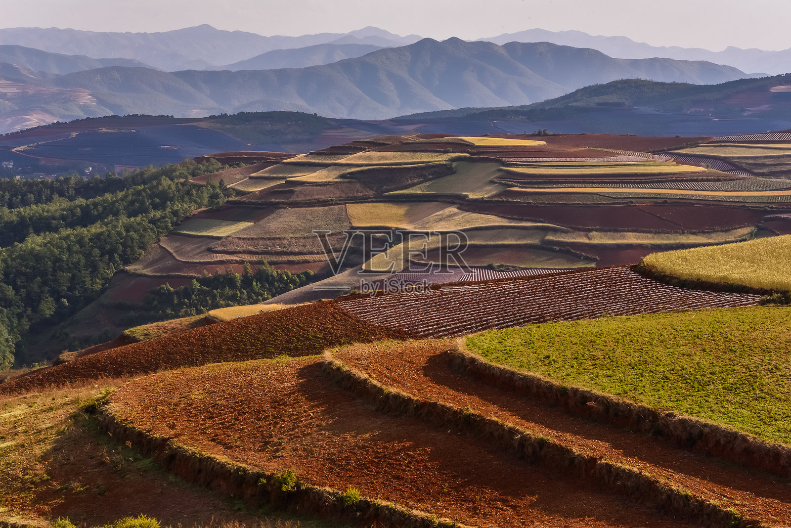 中国 - 东川红土地 - 云南照片摄影图片