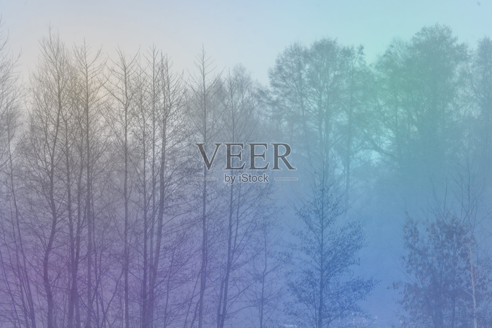 抽象的雾霭森林与多彩渐变叠加效果照片摄影图片