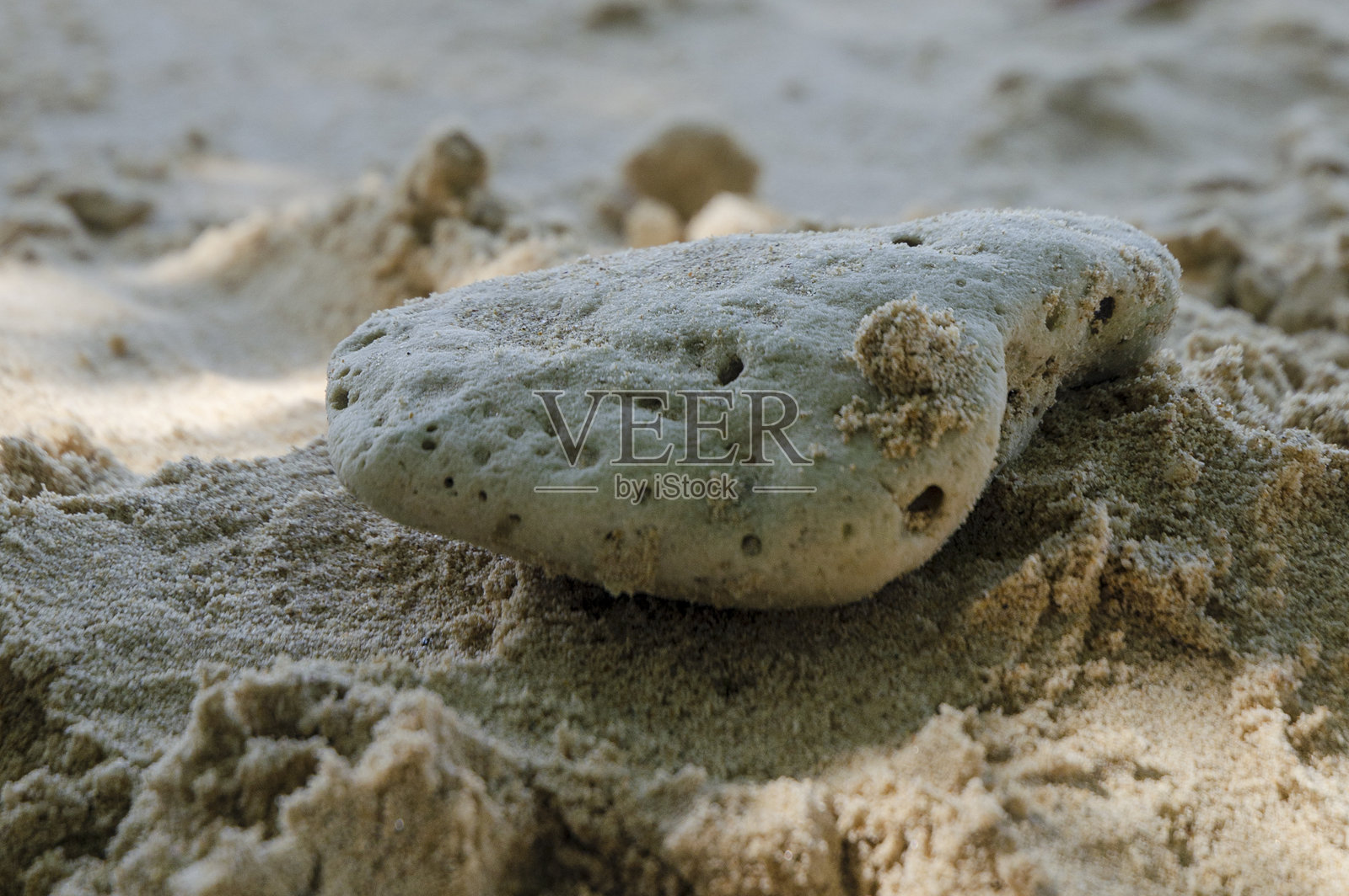 夏季沙滩和热带海洋背景照片摄影图片
