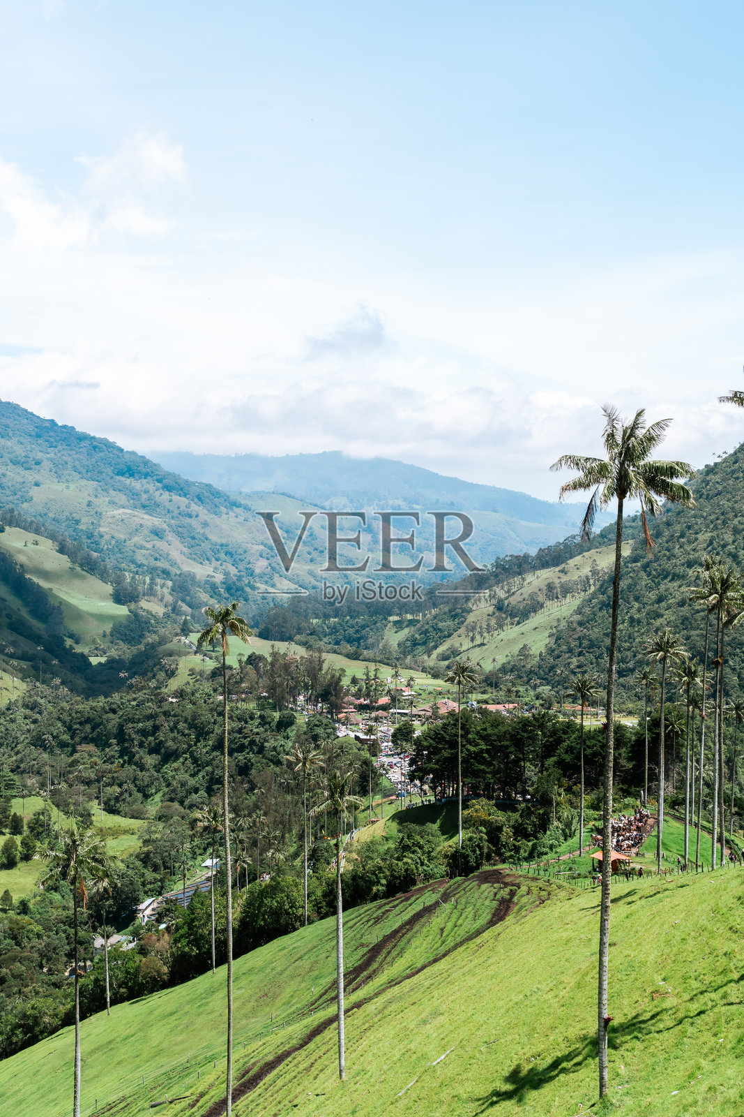 哥伦比亚科科拉谷的美丽风景。旅行和美丽的小镇。蜡棕榈树。照片摄影图片