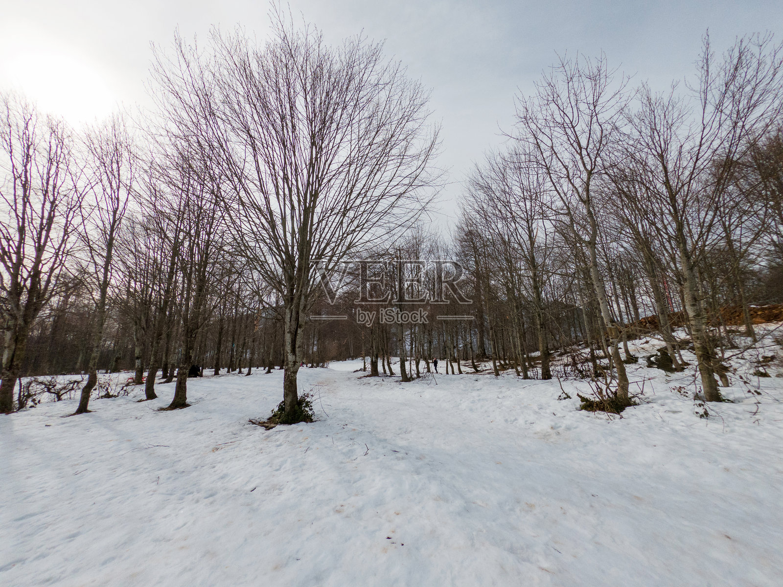 冬季山脉的美丽景色照片摄影图片