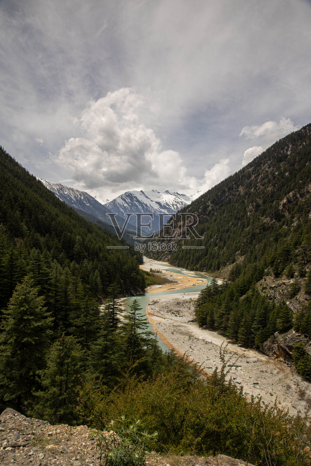 云雾天空下的山谷风景，河流与松树林相伴照片摄影图片