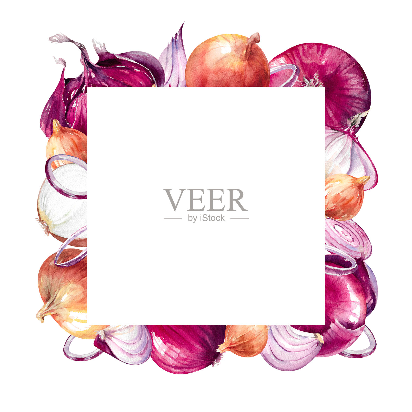 多彩洋葱整颗和切片的水彩方框模板，适用于食品、收获和农场设计插画图片素材