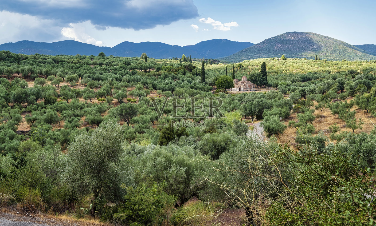 橄榄树林中的圣佐多霍斯皮吉教堂照片摄影图片