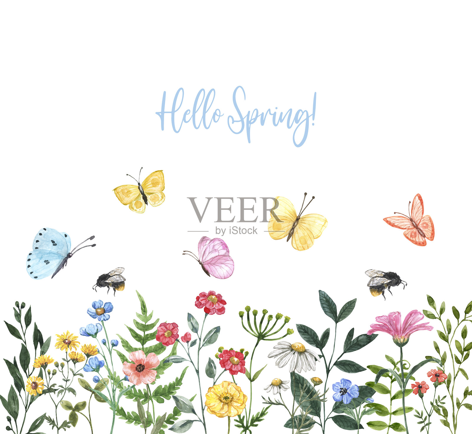 野花草甸插图。水彩可爱花朵、草和草药在白色背景上。插画图片素材