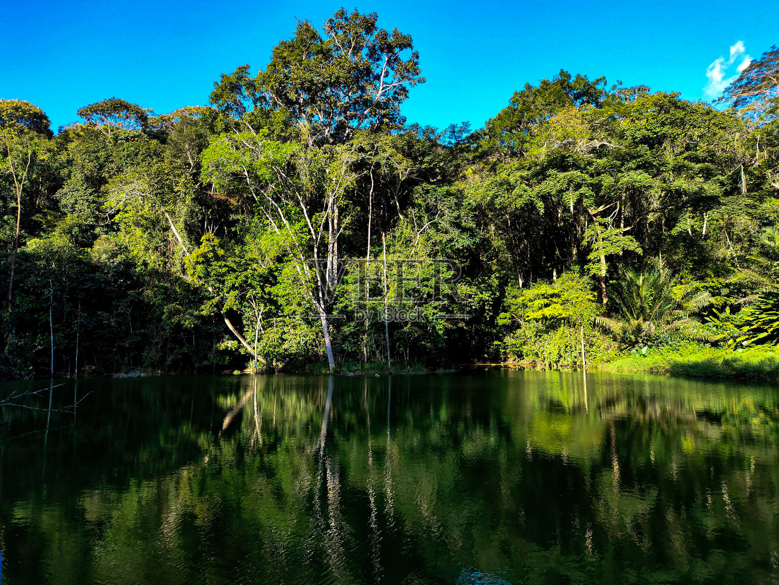 自然的倒影照片摄影图片