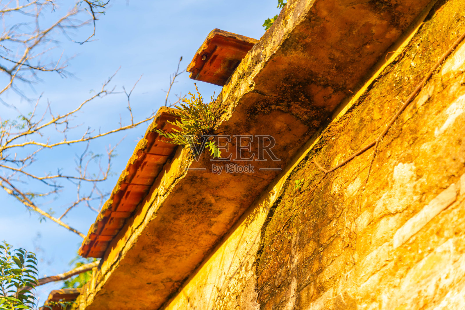 破旧的房子在风雨中残破不堪照片摄影图片
