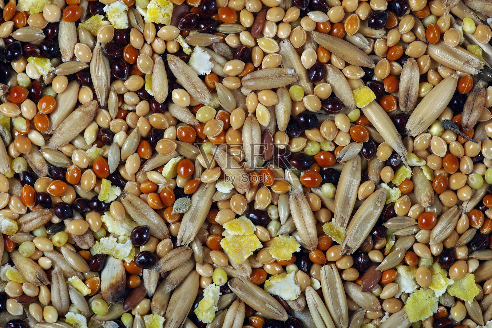 鹦鹉食物质地背景。鸟类谷物种子混合物照片摄影图片