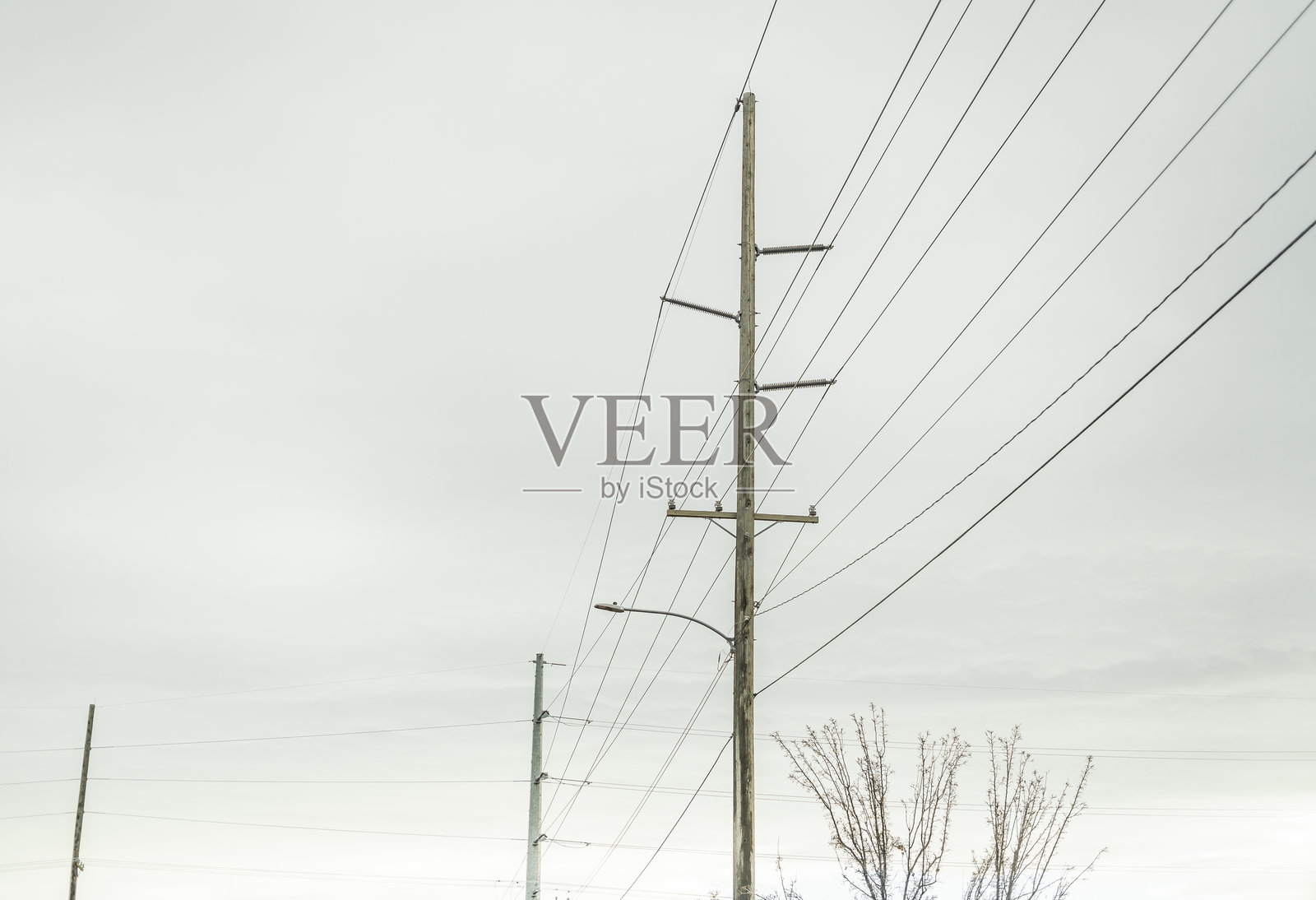 阴云密布的天空中，稀疏的树木与木质电线杆和电缆交错延伸。照片摄影图片
