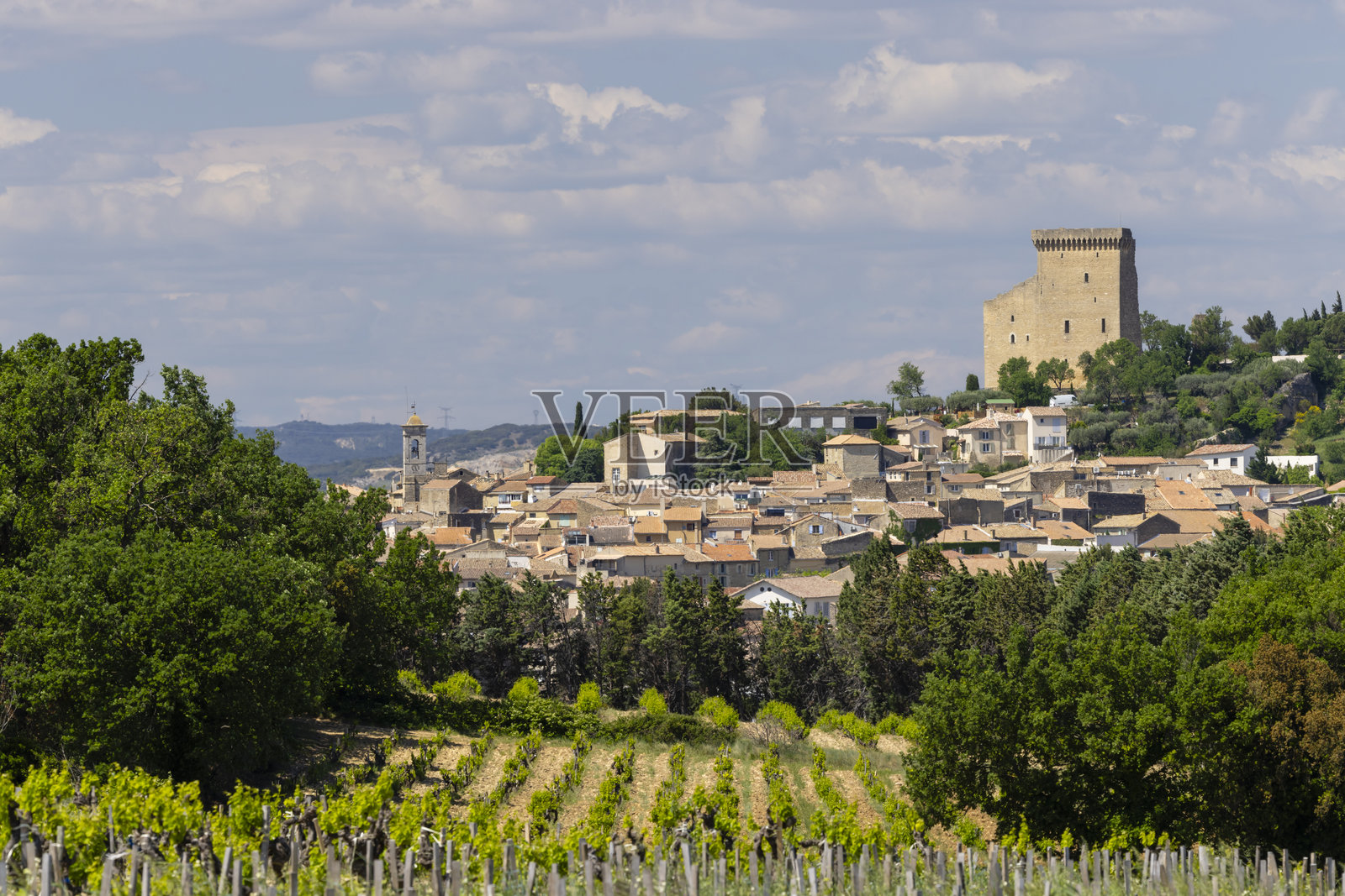 典型的葡萄园，附近有石头，位于法国教皇新堡，罗纳河谷。照片摄影图片