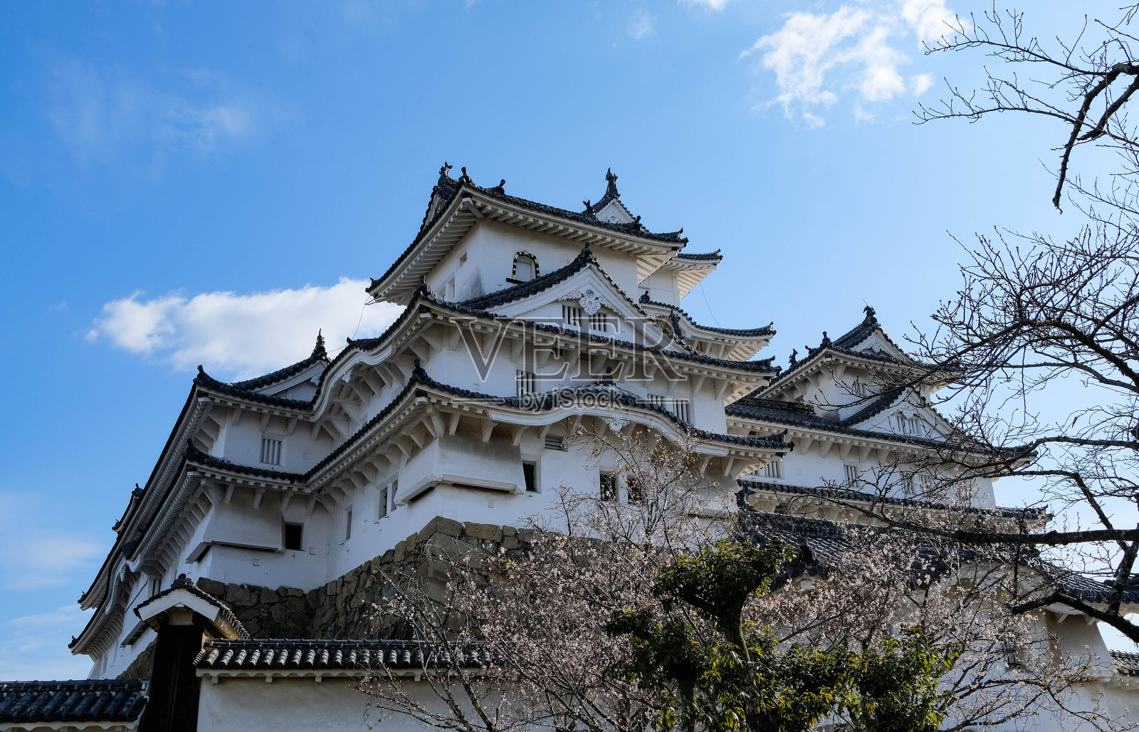 姬路城在蓝天和附近树木的白天户外景观照片摄影图片