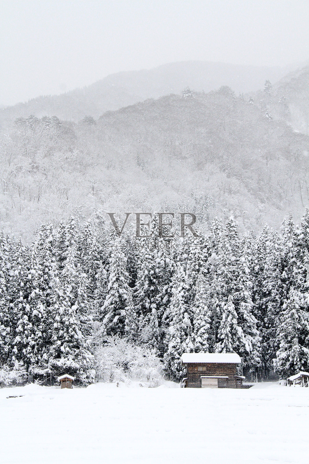 日本白川乡被冬季森林环绕的雪覆盖传统村落照片摄影图片