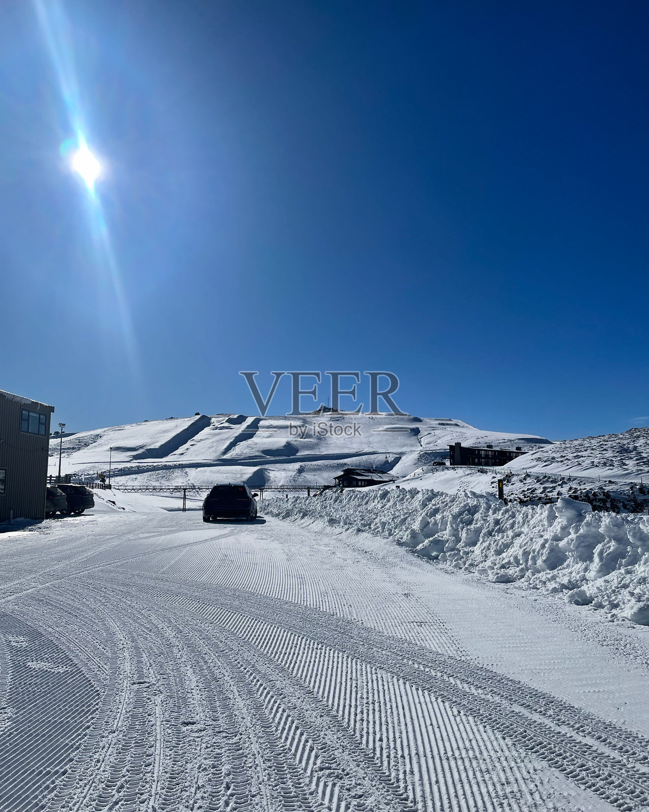 新西兰的雪农场照片摄影图片