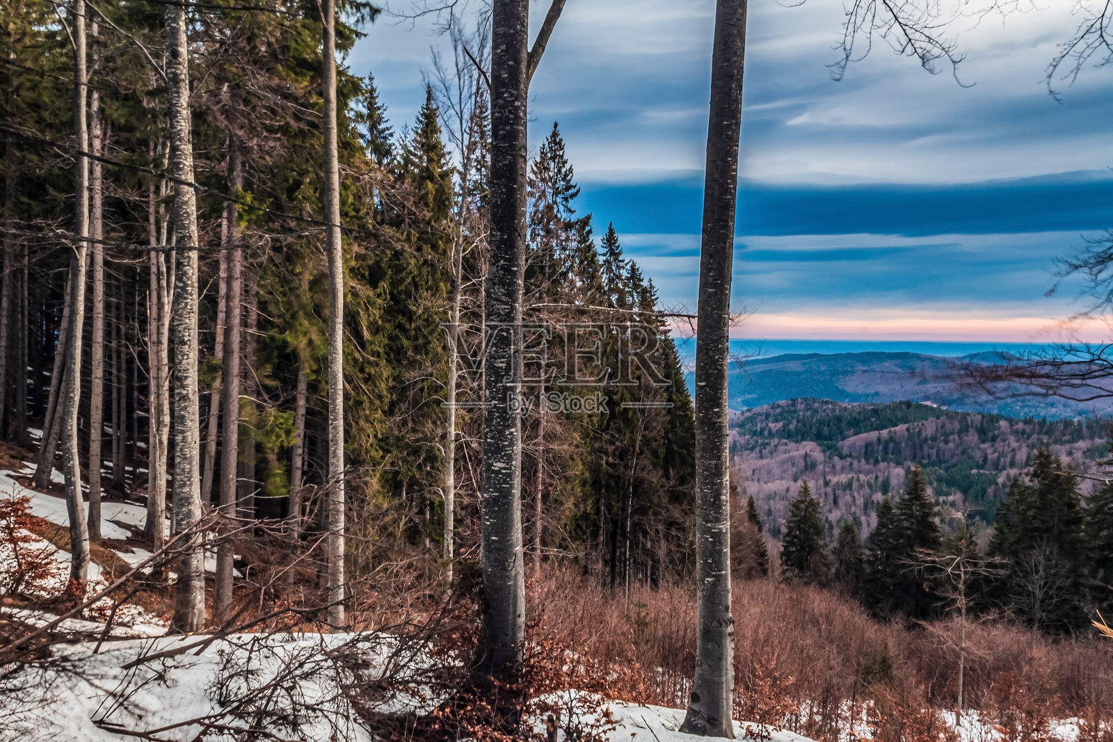 风景 - 森林 - 欧洲，罗马尼亚，苏恰瓦地区照片摄影图片